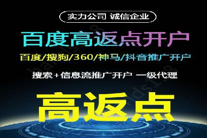 SEM代理服务：案例分享，效果显著