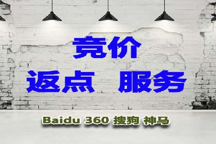 SEM服务公司助力电商增长案例